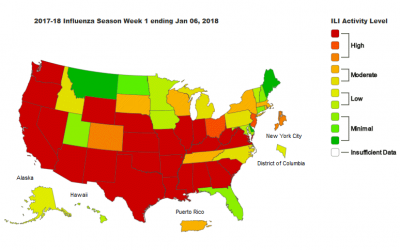 Key Facts About Influenza (FLU)